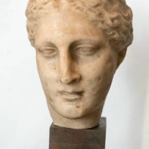Wax bust of Venus